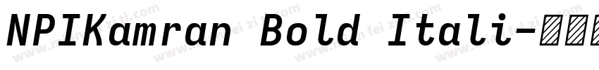 NPIKamran Bold Itali字体转换